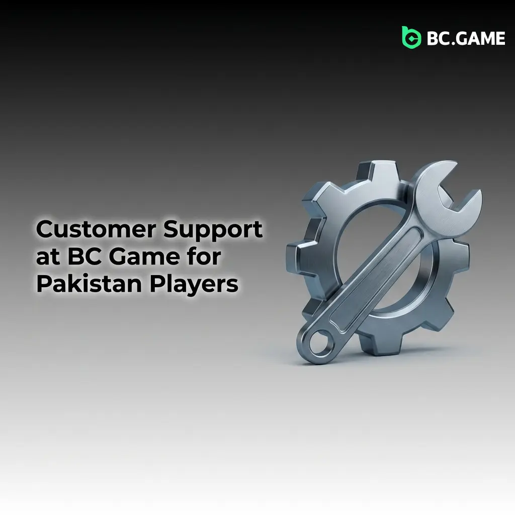 BC Game 24/7 customer support channels for Pakistan players including live chat, email, Telegram, and Help Centre